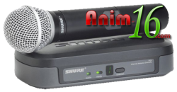 Shure PG24/PG58
