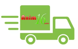 Prestation déplacement 1