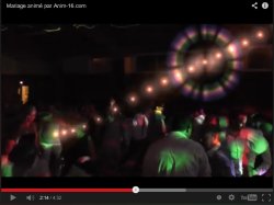 Ambiance Mariage en vidéo